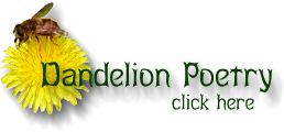 Dandelion Poetry
